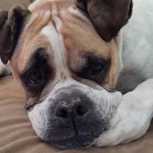 Meet your Posher, Joann